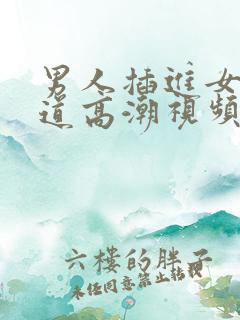 男人插进女人阴道高潮视频