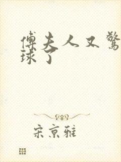 傅夫人又惊艳全球了