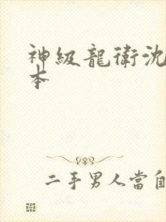 神级龙卫沈浪完本