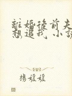 离婚后前夫总是想追我 小说