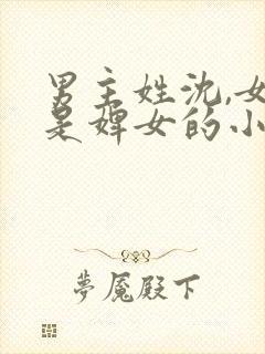 男主姓沈,女主是婢女的小说