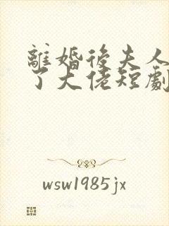 离婚后夫人她成了大佬短剧全集免费版