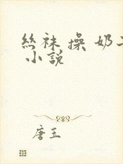 丝袜 操 奶子 小说