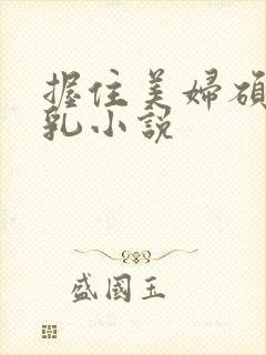 握住美妇硕大双乳小说