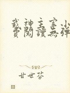 武神主宰小说免费阅读无弹窗