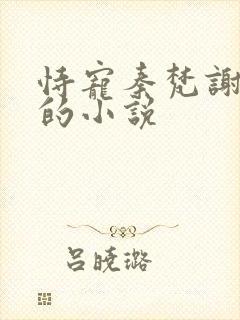 恃宠秦梵谢砚礼的小说