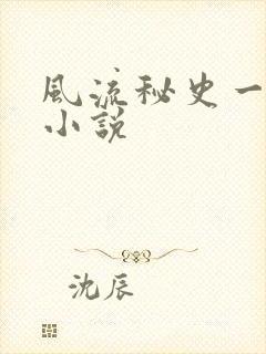 风流秘史一样的小说