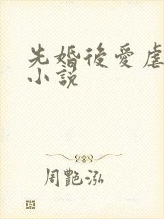 先婚后爱虐恋的小说