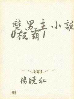 双男主小说学霸0校霸1