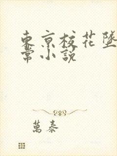 东京校花坠落日常小说