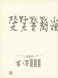 陆野默默小说全文免费阅读