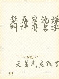 楚桑宁沈烨小说叫什么名字