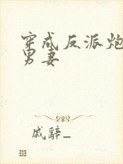 穿成反派炮灰的男妻