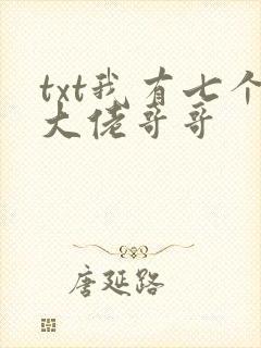 txt我有七个大佬哥哥