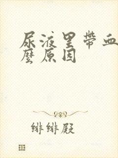 尿液里带血是什么原因