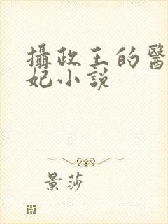 摄政王的医品狂妃小说