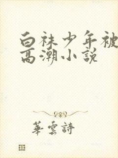 白袜少年被强制高潮小说