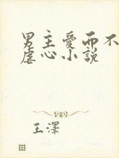 男主爱而不得的虐心小说