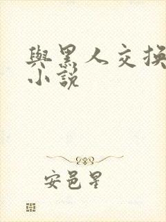 与黑人交换女友小说