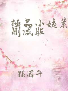 极品小姨叶凡未删减版