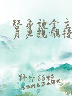 替身被金主的白月光觊觎后