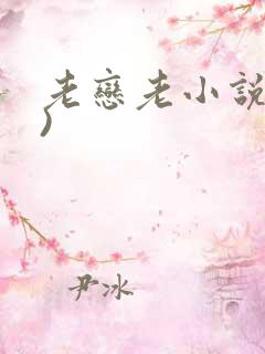 老恋老小说(h)