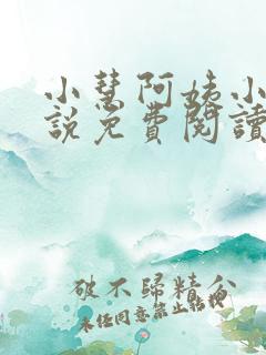 小慧阿姨小辉小说免费阅读最新章节