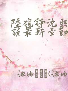 陆砚铮沈熙颂小说最新章节免费阅读