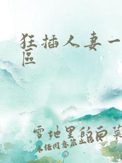 狂插人妻一区二区