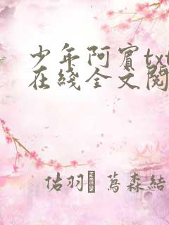 少年阿宾txt在线全文阅读