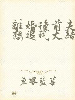 离婚后前夫总是想追我大结局