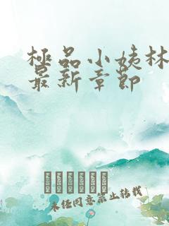 极品小姨林浩云最新章节