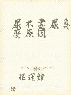 尿不尽尿臭是什么原因