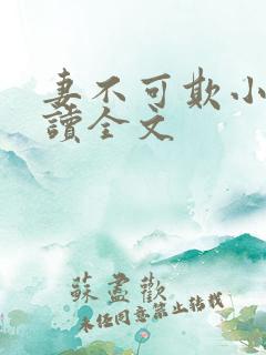 妻不可欺小说阅读全文