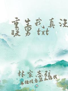 重生我真没想当暖男 txt