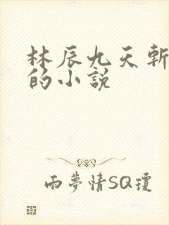 林辰九天斩神诀的小说