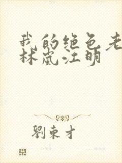 我的绝色老板娘林岚江明