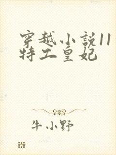 穿越小说11处特工皇妃