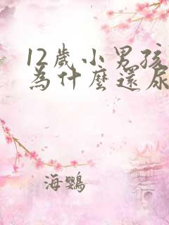 12岁小男孩儿为什么还尿床