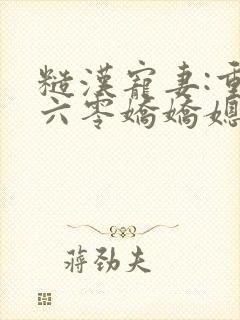 糙汉宠妻:重生六零娇娇媳