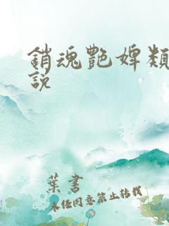 销魂艳婢类似小说