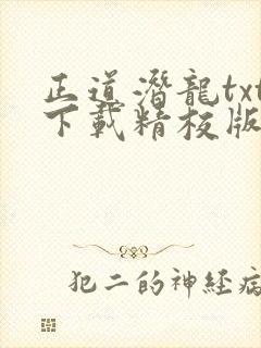 正道潜龙txt下载精校版