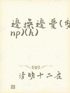 边操边爱(双性np)(h)