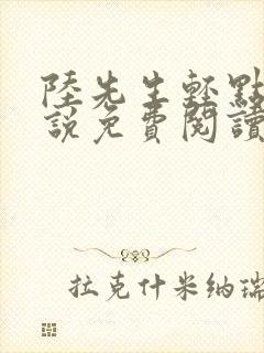 陆先生轻点抱小说免费阅读