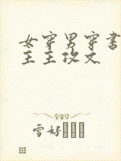 女穿男穿书双男主主攻文