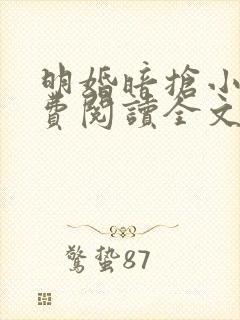 明婚暗抢小说免费阅读全文