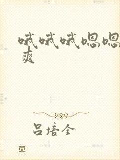 哦哦哦嗯嗯嗯好爽