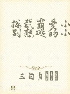 总裁霸爱小娇妻别想逃的小说