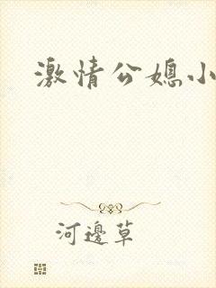 激情公媳小说