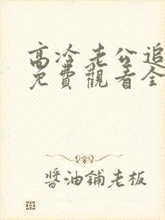 高冷老公追妻忙免费观看全集剧情